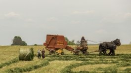 woman standing near brown combine harvester