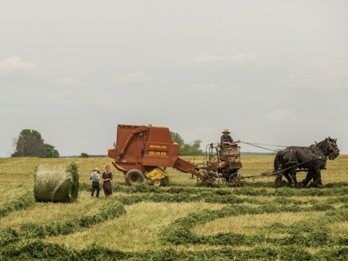 woman standing near brown combine harvester