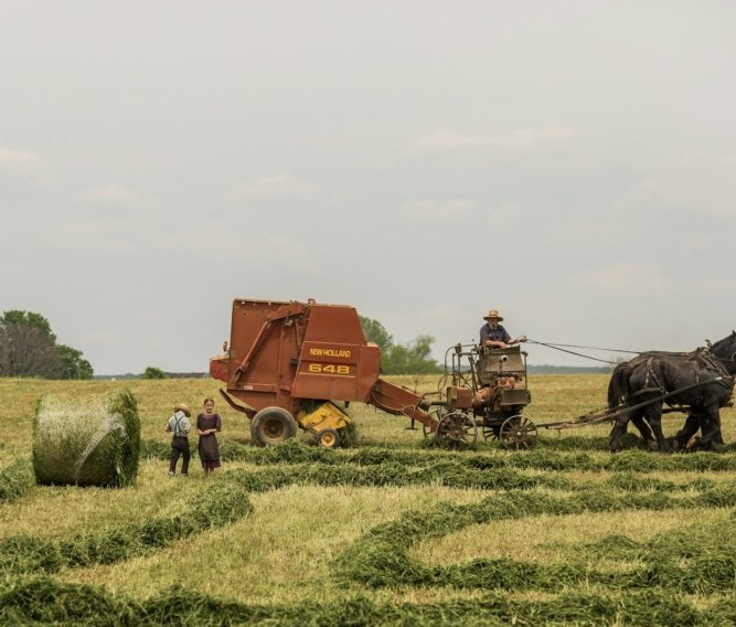 woman standing near brown combine harvester